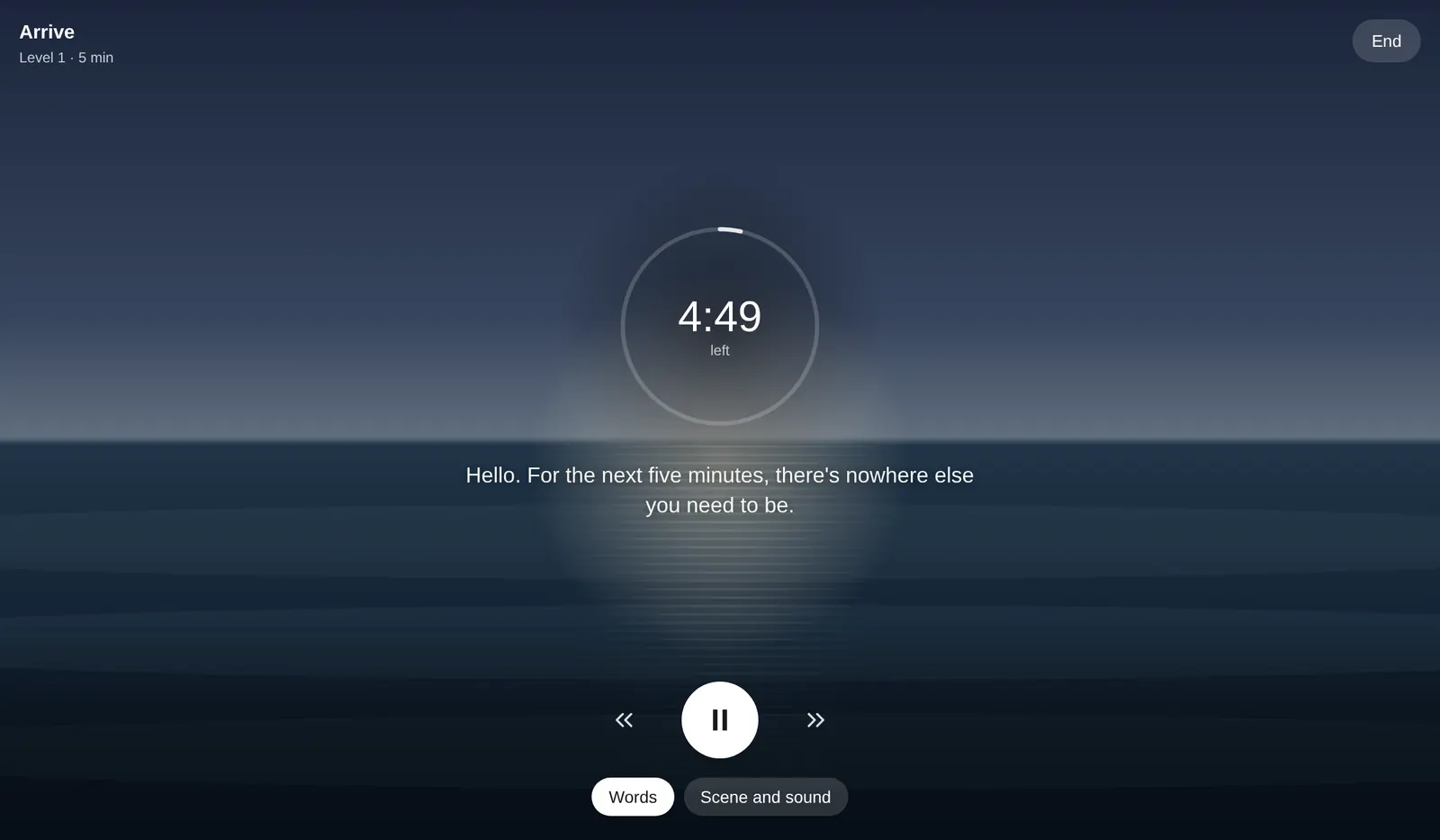 The Guided Meditation player full screen on the Sea scene: a calm sea under a pale moon, a ring counting down with 4:49 left, the first line of the session as a caption ("Hello. For the next five minutes, there's nowhere else you need to be."), and pause, skip, Words and Scene and sound controls.
