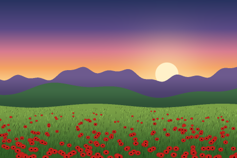 Example photo: a field of red poppies in green grass, with violet hills and a low sun in a pink and orange sky